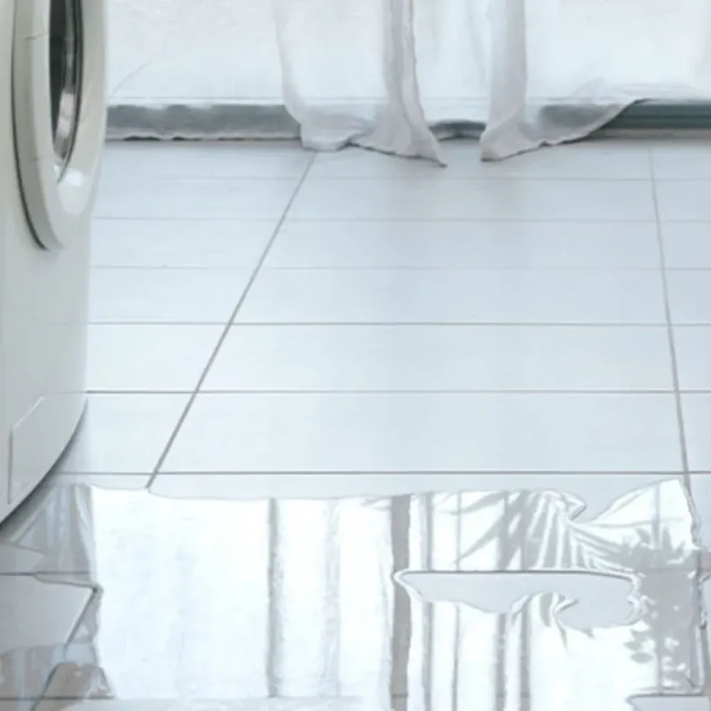 Appliance Leak Cleanup in Rio Communities, NM